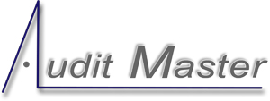 Audit Master