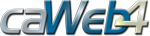 Web Based Corrective Action