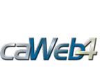 caWeb Issue & Action Management